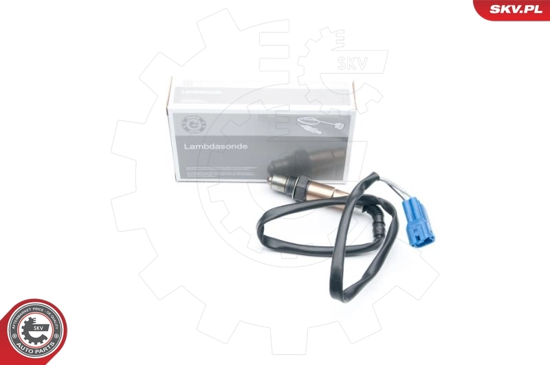 Oxygen Sensor